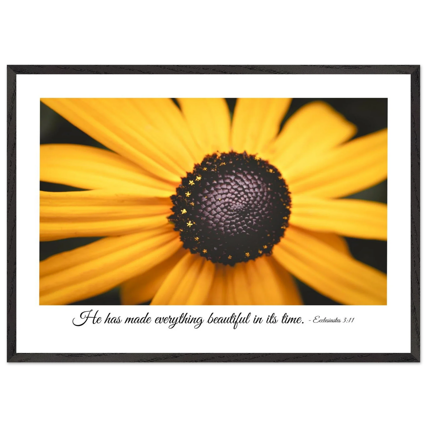 Faith & Nature Framed