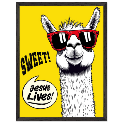 Playful Christian wall art illustration of a white llama wearing red sunglasses on a bright yellow background, with the words SWEET! and Jesus Lives in a speech bubble, framed in black.