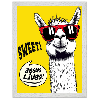 Playful Christian wall art illustration of a white llama wearing red sunglasses on a bright yellow background, with the words SWEET! and Jesus Lives in a speech bubble, framed in grey.