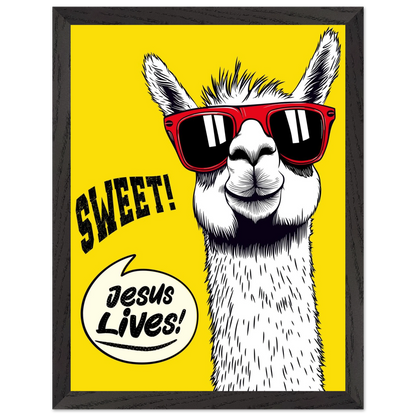 Playful Christian wall art illustration of a white llama wearing red sunglasses on a bright yellow background, with the words SWEET! and Jesus Lives in a speech bubble, framed in black.