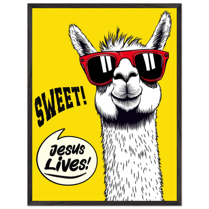 Playful Christian wall art illustration of a white llama wearing red sunglasses on a bright yellow background, with the words SWEET! and Jesus Lives in a speech bubble, framed in black.