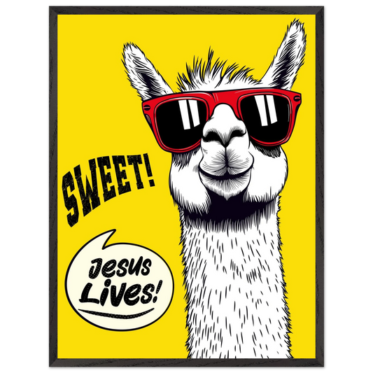 Playful Christian wall art illustration of a white llama wearing red sunglasses on a bright yellow background, with the words SWEET! and Jesus Lives in a speech bubble, framed in black.