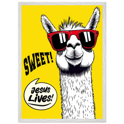 Playful Christian wall art illustration of a white llama wearing red sunglasses on a bright yellow background, with the words SWEET! and Jesus Lives in a speech bubble, framed in grey.
