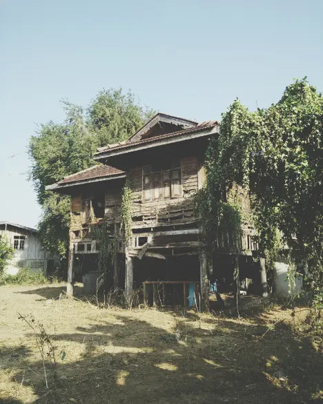 Old wooden house surrounded by greenery under a clear blue sky