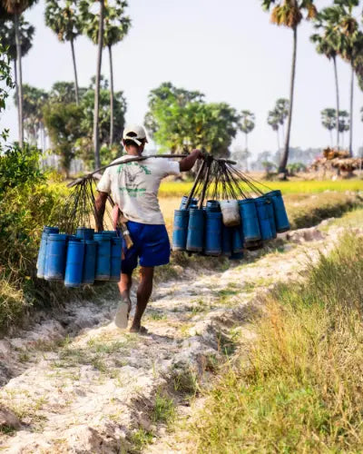 Man carrying blue canisters on a rural path with palm trees in the background