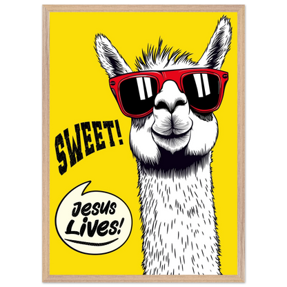 Playful Christian wall art illustration of a white llama wearing red sunglasses on a bright yellow background, with the words SWEET! and Jesus Lives in a speech bubble, framed.