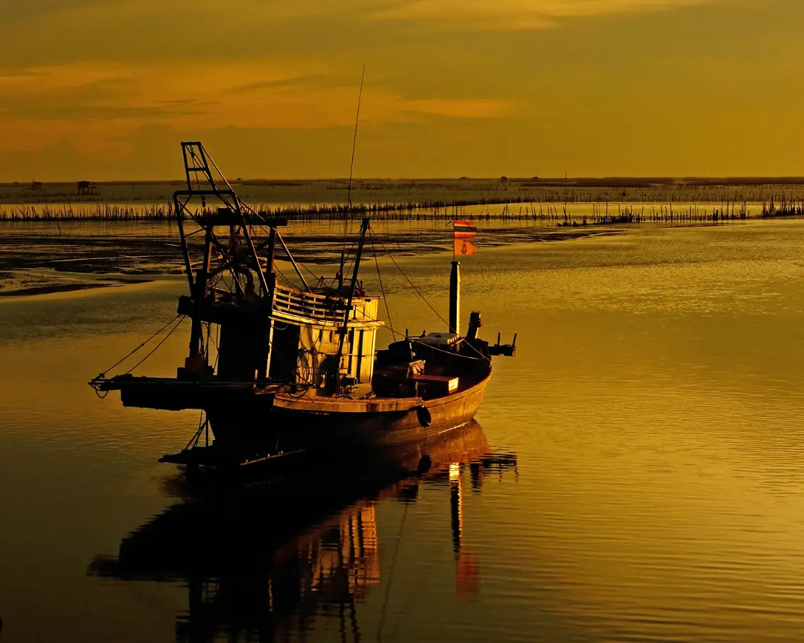 Boat on water with a yellowish-orange hue, likely due to sunset or sunrise.