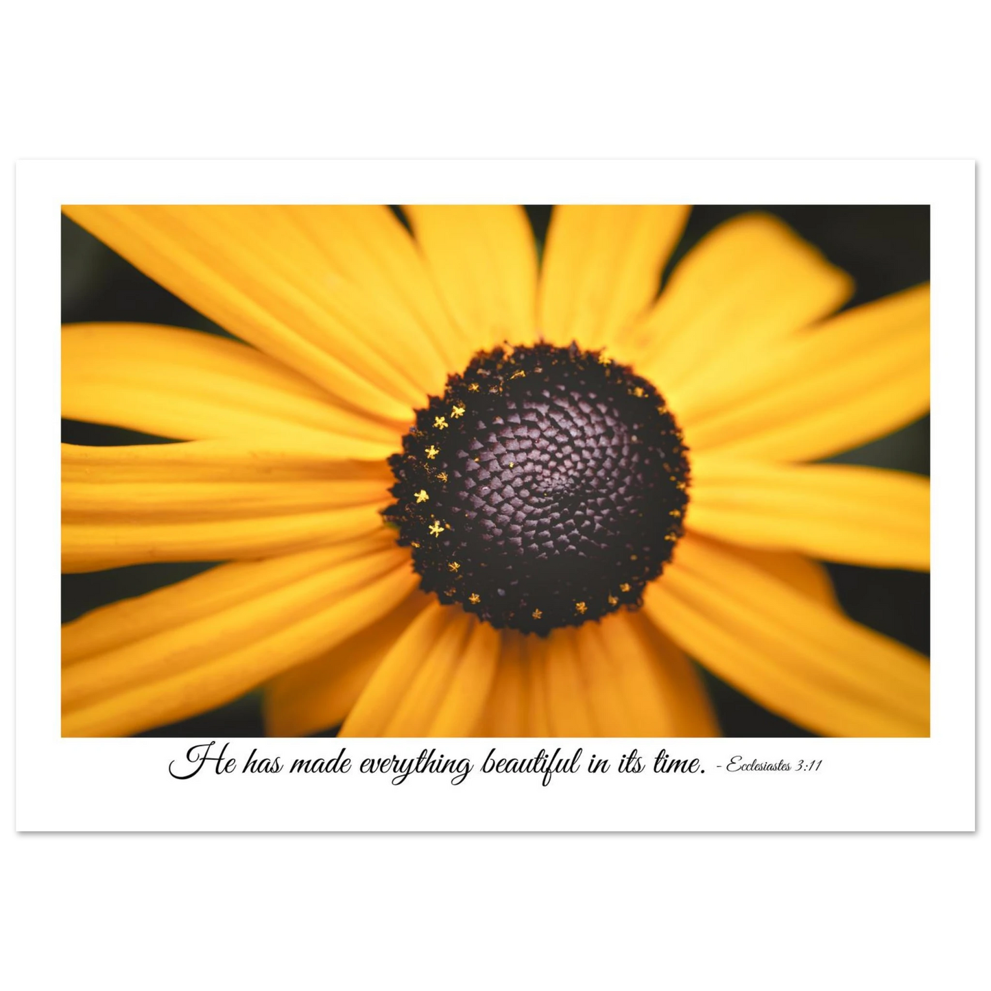 A poster featuring a close-up photograph of a yellow flower with a quote from Ecclesiastes 3:11: 'He has made everything beautiful in its time.'.