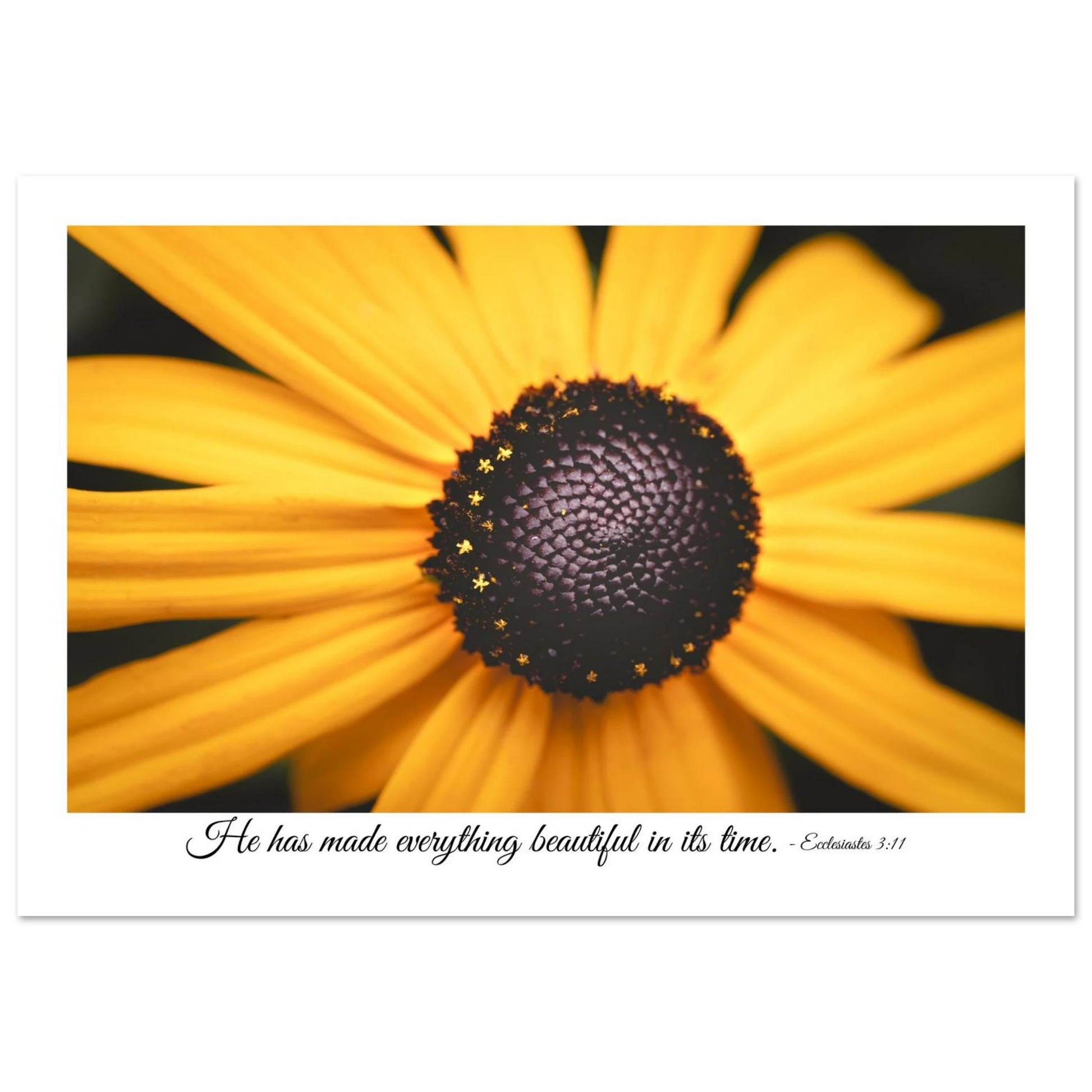 A poster featuring a close-up photograph of a yellow flower with a quote from Ecclesiastes 3:11: 'He has made everything beautiful in its time.'.