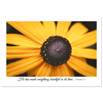 A poster featuring a close-up photograph of a yellow flower with a quote from Ecclesiastes 3:11: 'He has made everything beautiful in its time.'.