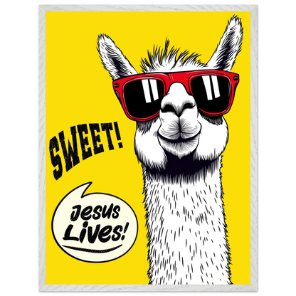 Playful Christian wall art illustration of a white llama wearing red sunglasses on a bright yellow background, with the words SWEET! and Jesus Lives in a speech bubble, framed in grey.