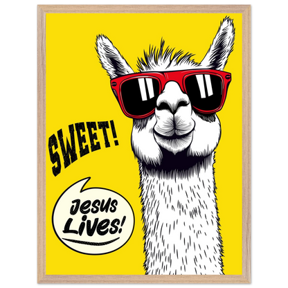 Playful Christian wall art illustration of a white llama wearing red sunglasses on a bright yellow background, with the words SWEET! and Jesus Lives in a speech bubble, framed.