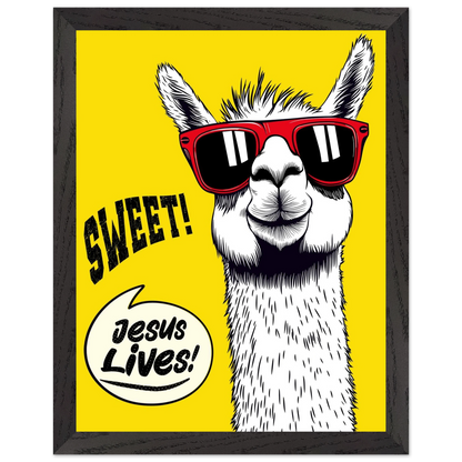Playful Christian wall art illustration of a white llama wearing red sunglasses on a bright yellow background, with the words SWEET! and Jesus Lives in a speech bubble, framed in black.