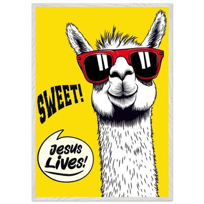 Playful Christian wall art illustration of a white llama wearing red sunglasses on a bright yellow background, with the words SWEET! and Jesus Lives in a speech bubble, framed in grey.