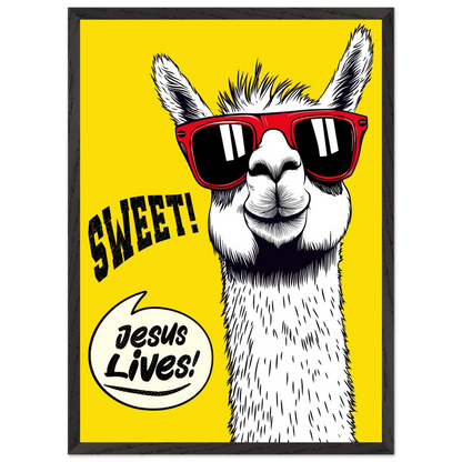Playful Christian wall art illustration of a white llama wearing red sunglasses on a bright yellow background, with the words SWEET! and Jesus Lives in a speech bubble, framed in black.