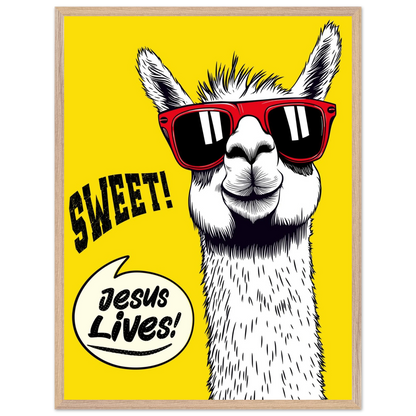 Playful Christian wall art illustration of a white llama wearing red sunglasses on a bright yellow background, with the words SWEET! and Jesus Lives in a speech bubble, framed.