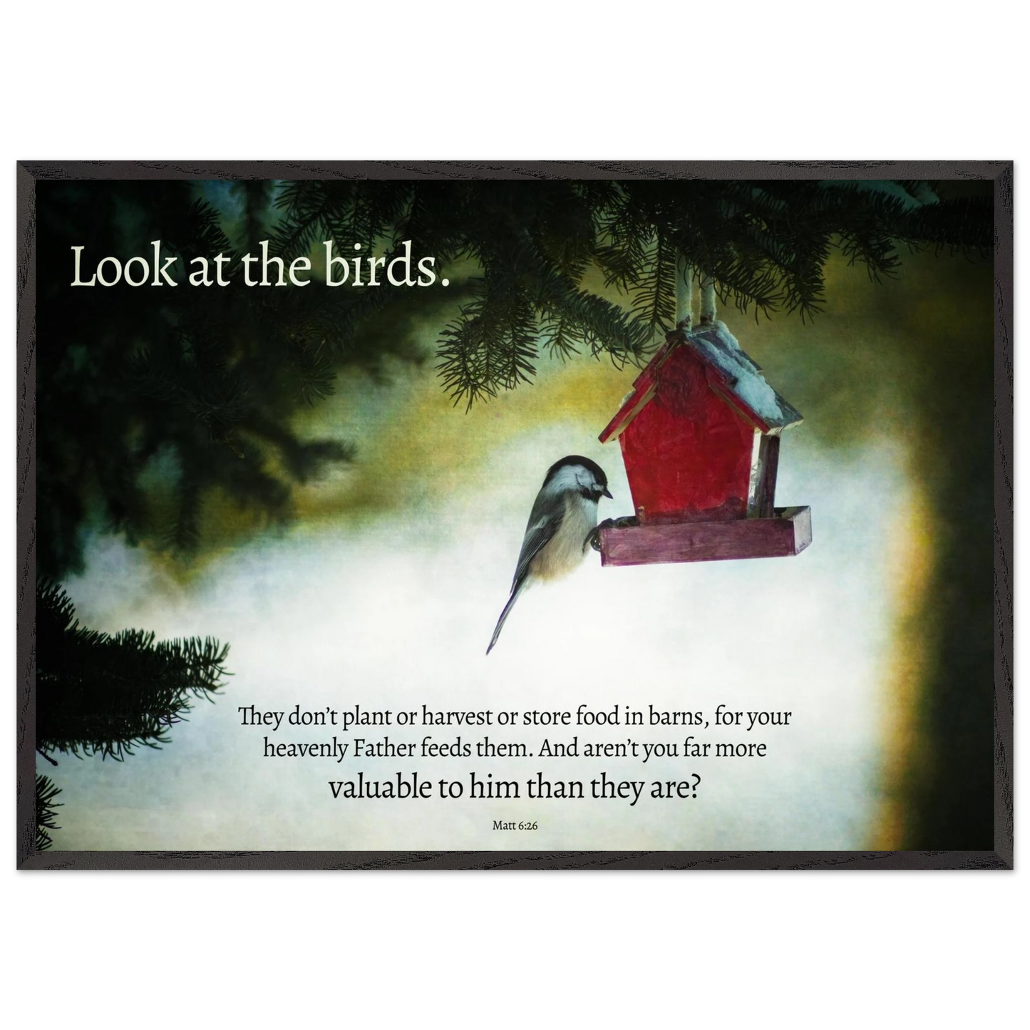 Bird perched on a red birdhouse with a snowy background and text overlay.
