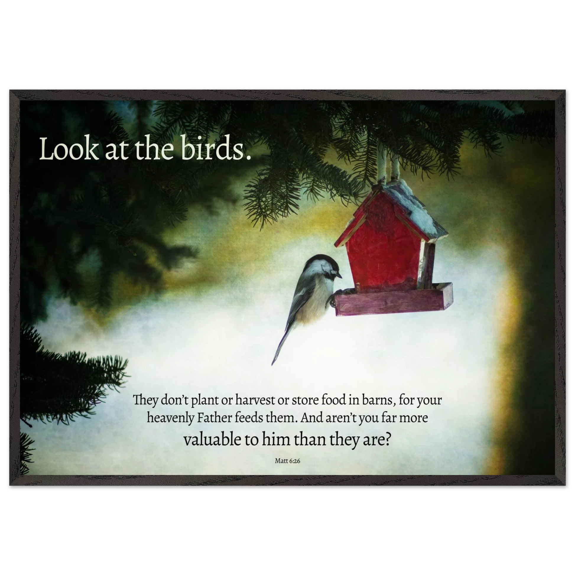 Bird perched on a red birdhouse with a snowy background and text overlay.