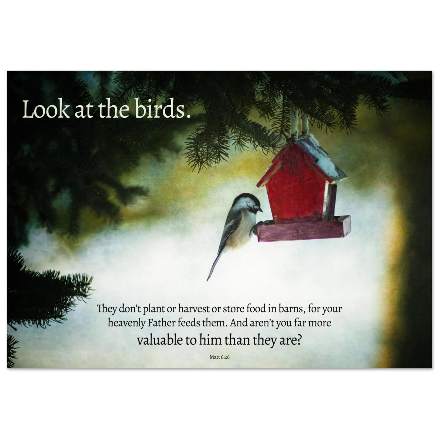 Red birdhouse with a bird perched on it against a misty background, with text overlay.