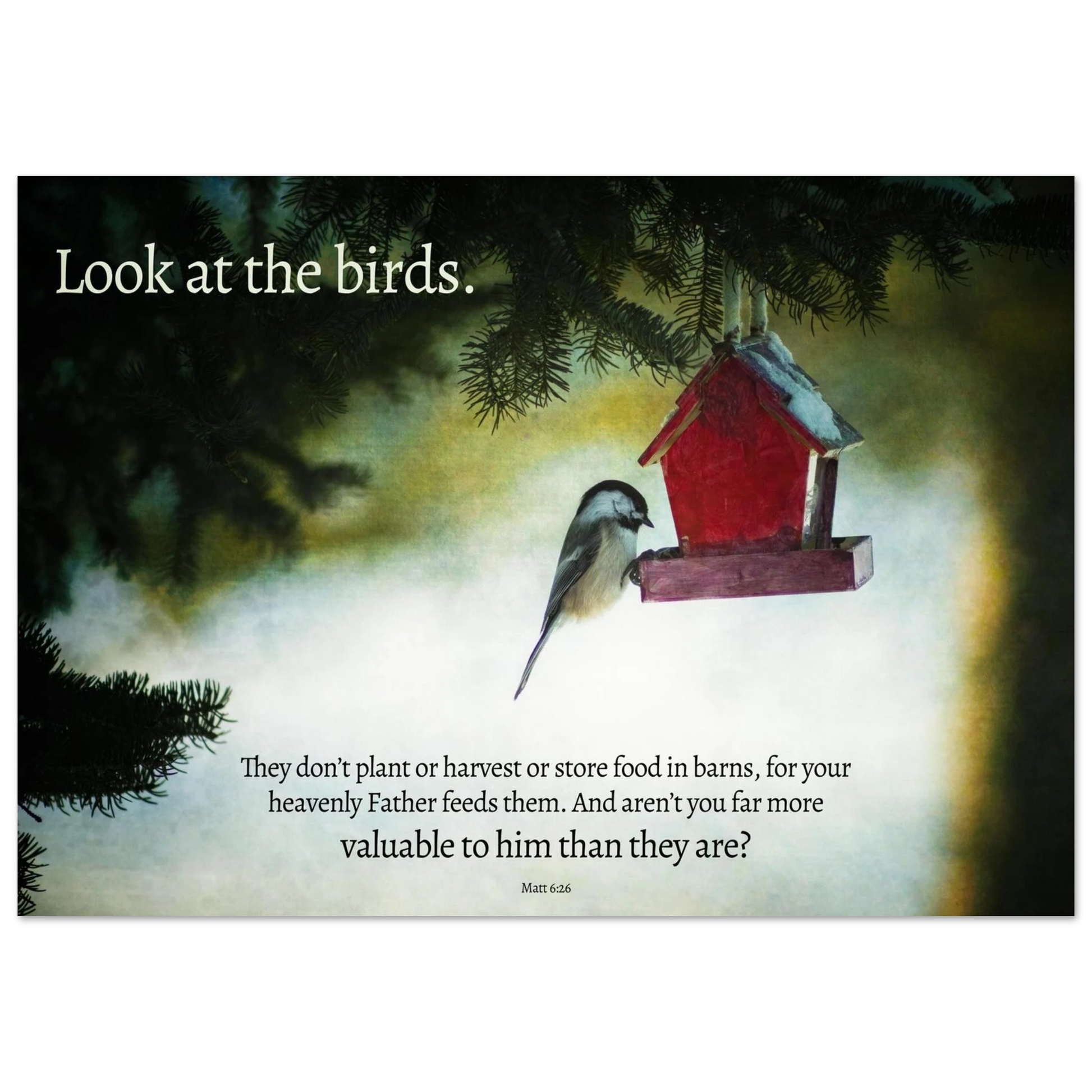 Red birdhouse with a bird perched on it against a misty background, with text overlay.