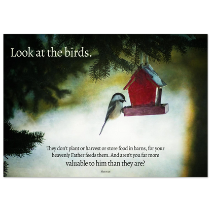 Red birdhouse with a bird perched on it against a misty background, with text overlay.