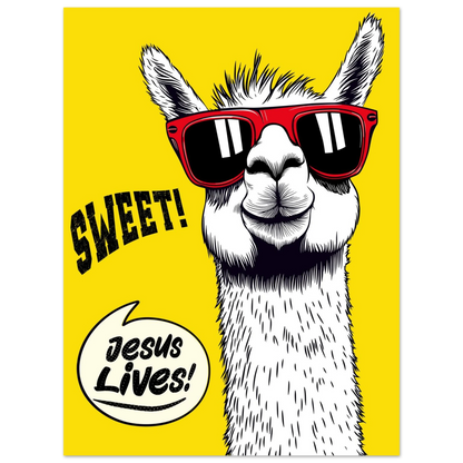 A cartoon giraffe with sunglasses against a yellow background, with the text 'SWEET!' and 'Jesus Lives!'