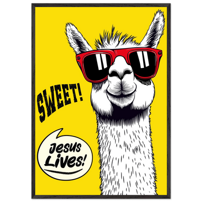 Playful Christian wall art illustration of a white llama wearing red sunglasses on a bright yellow background, with the words SWEET! and Jesus Lives in a speech bubble, framed in black.