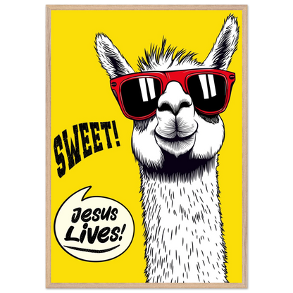 Playful Christian wall art illustration of a white llama wearing red sunglasses on a bright yellow background, with the words SWEET! and Jesus Lives in a speech bubble, framed.