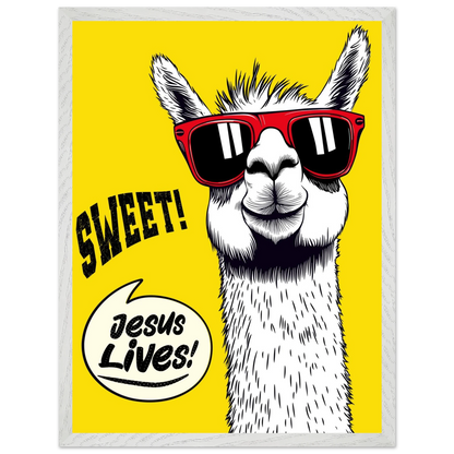 Playful Christian wall art illustration of a white llama wearing red sunglasses on a bright yellow background, with the words SWEET! and Jesus Lives in a speech bubble, framed in grey.