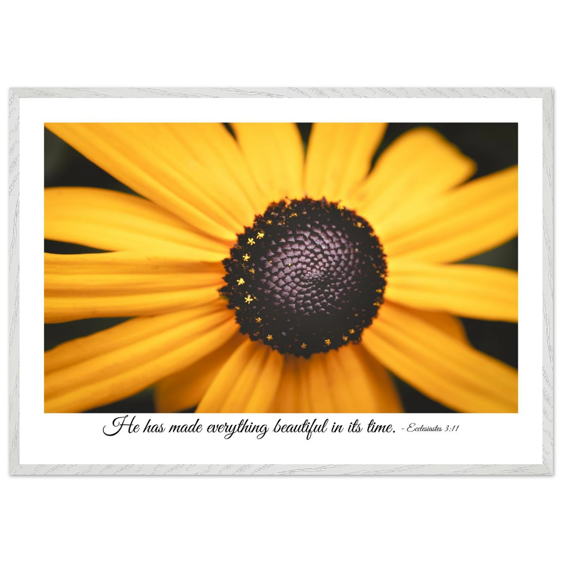 A framed art print of a close-up yellow flower with a quote from Ecclesiastes 3:11, 'He has made everything beautiful in its time.'.