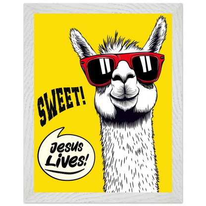 Playful Christian wall art illustration of a white llama wearing red sunglasses on a bright yellow background, with the words SWEET! and Jesus Lives in a speech bubble, framed in grey.