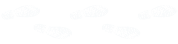 Solid white color swatch