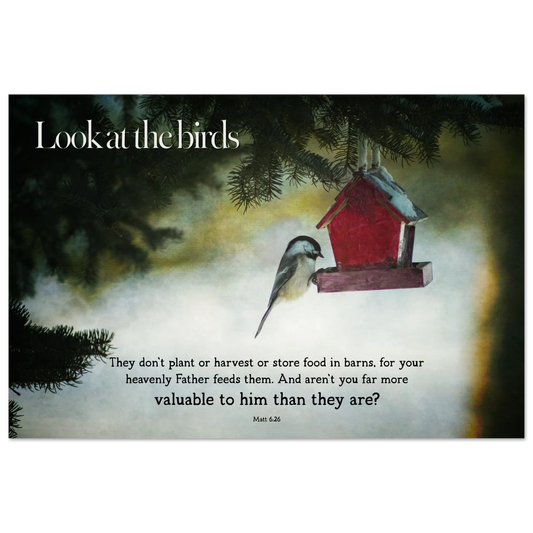 Look at the Birds Matthew 6:26 Christian printable wall art featuring a peaceful winter bird scene, red birdhouse, and Scripture about trusting God.